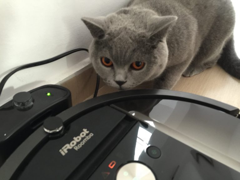 Cine n-are robot, să-și cumpere iRobot Roomba 980