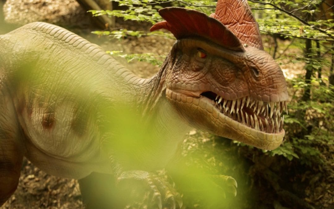 Noutăți la Dino Parc