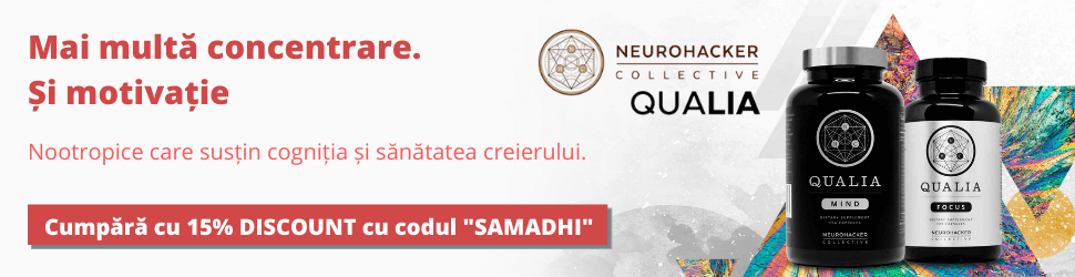 Neurohacker Collective Qualia Mind & Focus