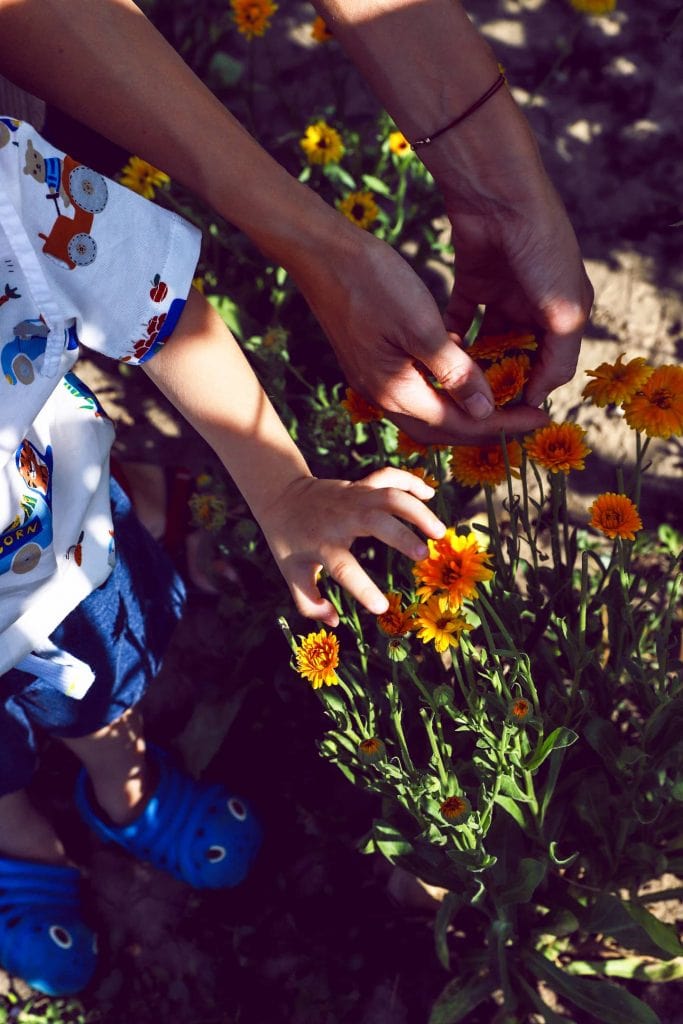 Happy by Nature 