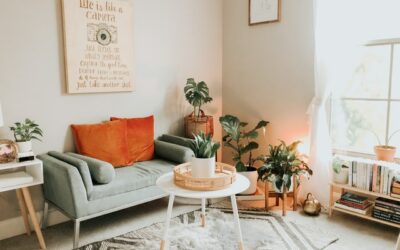 Accesorii pentru amenajarea casei: cum le alegi