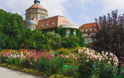 Cele mai frumoase parcuri și grădini din Frankfurt pentru relaxare